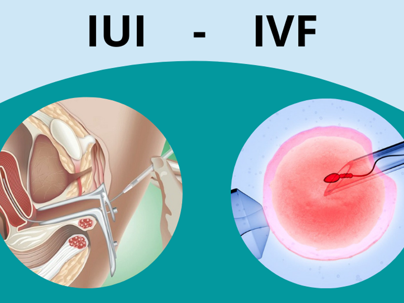 13-nam-doc-het-gia-tai-de-tim-con